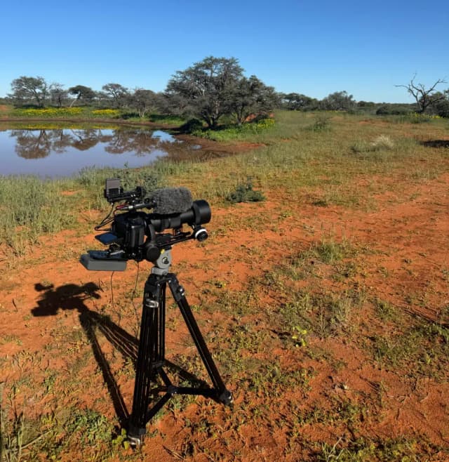 A camera and microphone on a tripod face a watering hole in the African savanna.