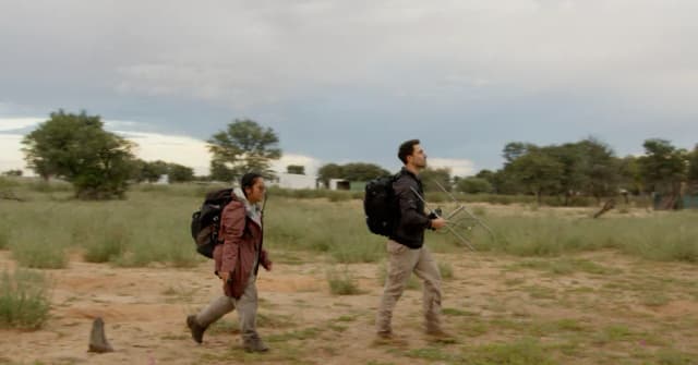 Two researchers walk across grassland carrying backpacks and a handheld radio tracking antenna in South Africa.