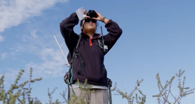 A field researcher holds up binoculars to scan the sky, wearing a backpack and radio in the South African bush.