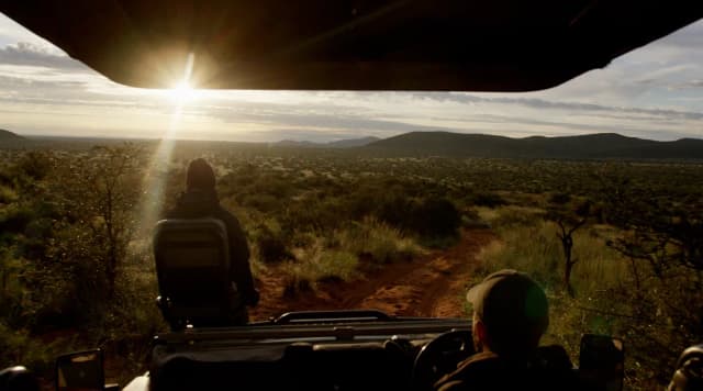 The view from an open safari vehicle looks out over the savanna as the sun rises over the hills.
