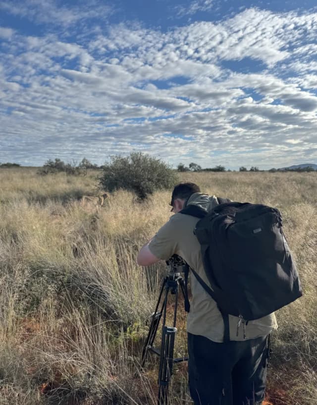 A cameraman with a tripod films a lion resting in tall grass under a wide African sky.