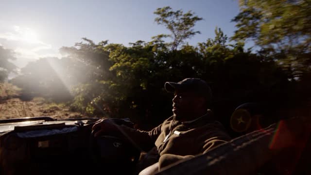 Silhouetted against the sunrise, a man drives an open safari vehicle through the South African bush.