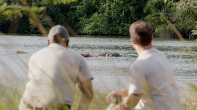 Two men in safari shirts watch hippos surface in a river surrounded by dense green trees in South Africa.