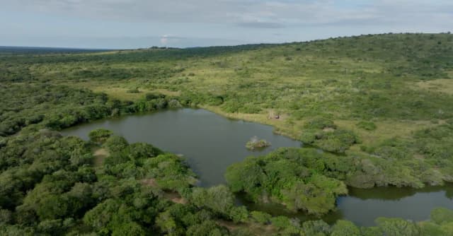 An aerial view shows a winding river through dense green wetland vegetation in South Africa.