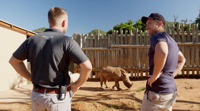 Two men in a wooden enclosure watch a young rhino during a South African wildlife shoot.