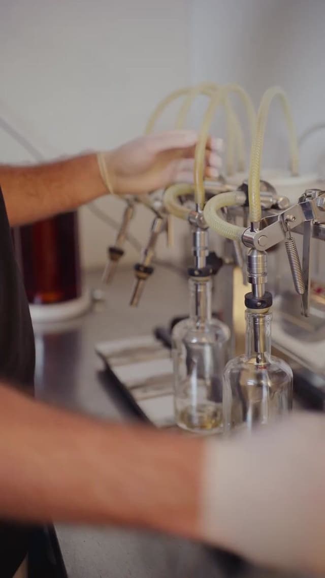 A close-up of a bottling line with hoses filling clear glass spirit bottles by hand.