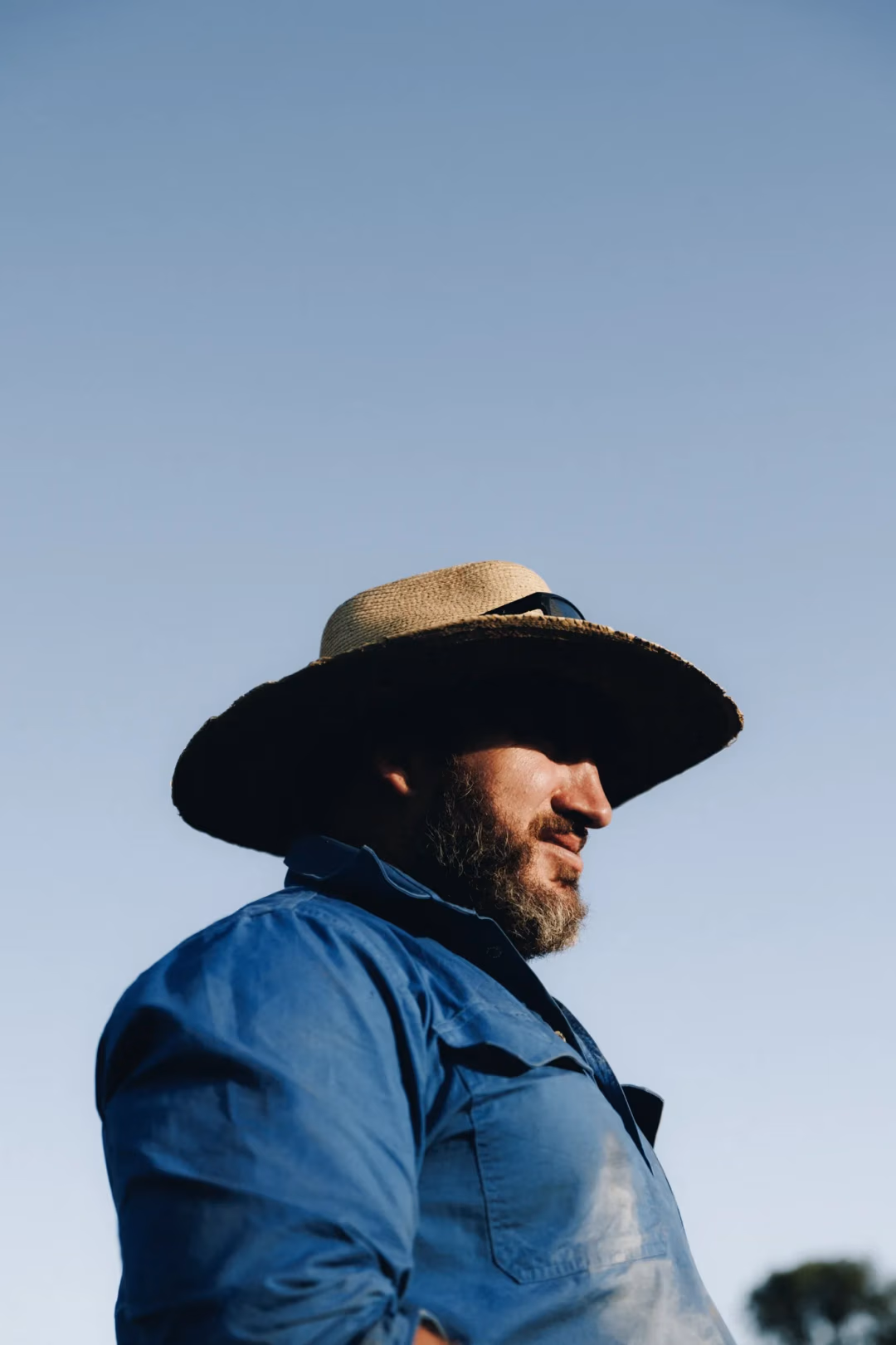 Grazier photography for Providore Global