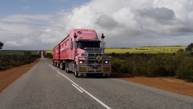 A pink Pilbara heavy haulage Mack road train truck drives along a rural highway past yellow canola fields.