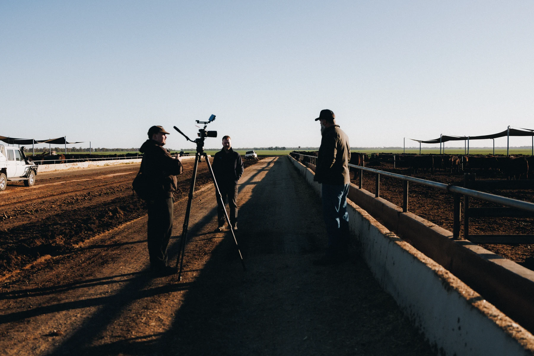 Lucky Boy crew filming an interview at the feedlot at Garah in early morning light