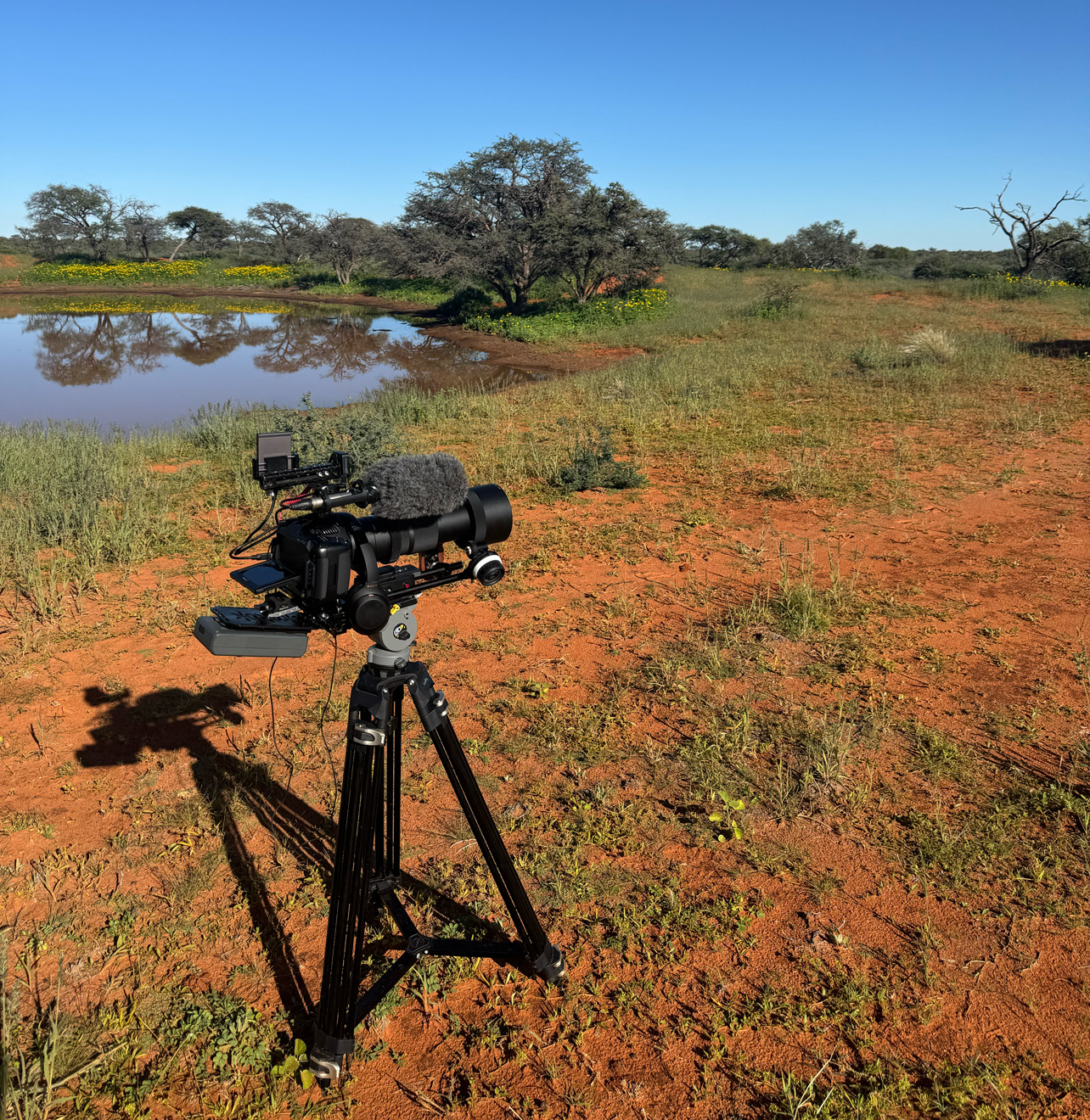 Black Magic Pocket 6K Pro Black Magic Pocket 6K Pro