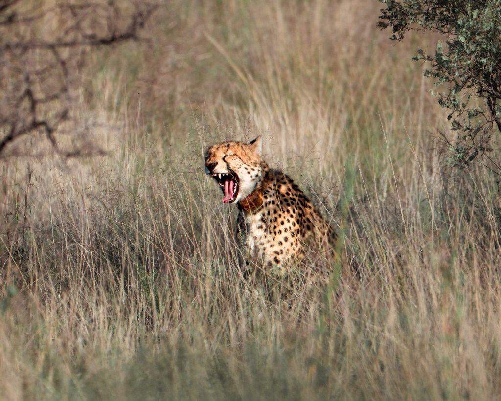 South Africa Tourism